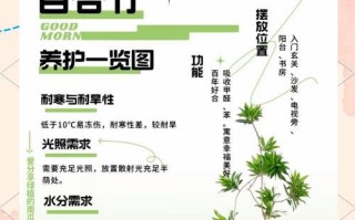 以莲花竹水养的繁殖技巧（如何利用水养法繁殖莲花竹）