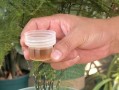夏天文竹怎么养浇水（科学浇水技巧让夏天文竹茁壮成长）