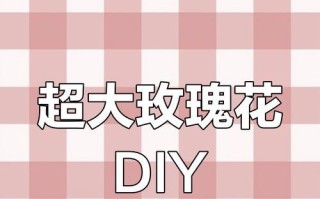 从玫瑰花剪下来怎么种——培育美丽玫瑰的秘诀（以剪下的玫瑰花开启你的花园之旅）