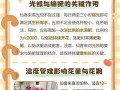 救活憔悴的植物——以仙客来换盆后的护理指南（以仙客来换盆后怎么救活？护理技巧大揭秘！）