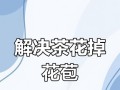 花苞自己掉了怎么解决（保护花苞，让花朵绽放美丽）