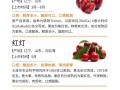 山东樱桃上市季节及成熟期分析（盘点山东樱桃上市季节与成熟期，探究不同品种果实的差异）
