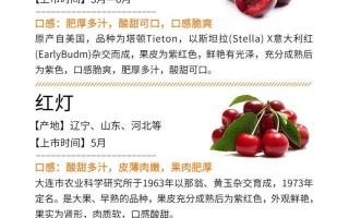 山东樱桃上市季节及成熟期分析（盘点山东樱桃上市季节与成熟期，探究不同品种果实的差异）