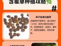 如何合理修剪过快生长的含羞草？（合理修剪方式、修剪时间、修剪频率、修剪工具的选择）