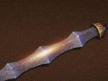 以《日日春》为主题的移植文章（用关爱之心，让春天永远存在）