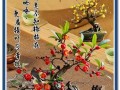 腊梅盆栽的肥养之道（选择合适的肥料，让腊梅健康茁壮）