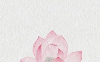 佛莲花的象征意义与传说（佛莲花在佛教文化中的重要地位）