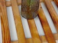 以袖珍椰子怎么剪根（掌握正确方法，让袖珍椰子茁壮成长）