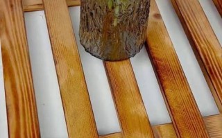 以袖珍椰子怎么剪根（掌握正确方法，让袖珍椰子茁壮成长）