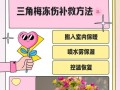 花儿安全过冬的方法（保护花朵免受寒冷侵害的关键技巧）