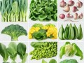探秘丰富多彩的蔬菜世界（品种繁多，满足你的味蕾和健康需求）