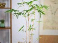 冬天养殖观音竹的方法与注意事项（保暖、浇水、光照是关键，让观音竹在寒冷的冬天健康茁壮成长）
