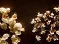 高粱花的种植与利用（探究高粱花在农业和食品工业中的价值）