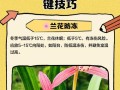 秋冬季兰花防虫害的有效方法（保护兰花免受虫害侵害的技巧与建议）