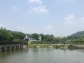 探索谷里花卉谷之美（一场自然与美的奇妙旅程）