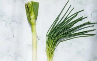 怎样冷冻保存葱花？（让葱花保持新鲜味道的小技巧）