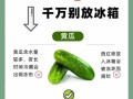 如何保存新鲜的黄瓜？（黄瓜能否放冰箱？）