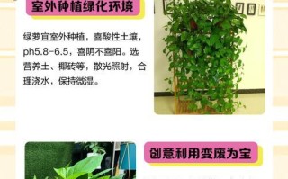 绿萝茎发黑的治疗方法（有效防治绿萝茎发黑的措施）