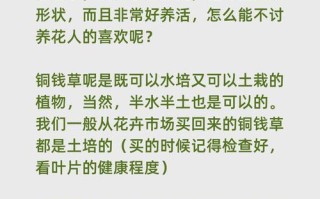 铜钱草叶子边缘黄的原因及处理方法（揭开铜钱草叶子边缘黄的谜团，为您解决问题！）