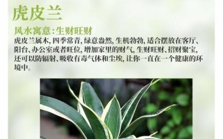 红玉兰的寓意与象征风水（传承历史文化的植物）