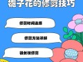 桅子花枝的养护指南（让您的桅子花枝焕发绚丽生机）