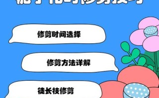 桅子花枝的养护指南（让您的桅子花枝焕发绚丽生机）