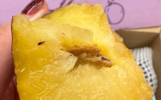 如何判断黑布林是否熟透（煮熟一点都不难，掌握这些技巧即可轻松应对）