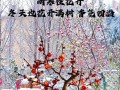 盆栽梅花养护全攻略（从选购到养护，让你的梅花开出最美的花）
