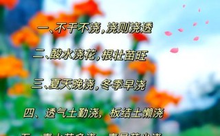 母乳浇花的好处和坏处（正确使用母乳为花草浇水，让生命之泉滋润植物）