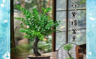 小叶紫檀叶子减少的原因及解决办法（保护小叶紫檀，让其叶子重新繁茂）