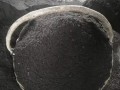 铁线莲土壤缺失，如何解决？（以种铁线莲没有土该怎么办？探索适宜替代土壤的方法和技巧。）