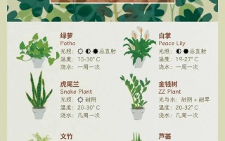 禄萝的培育及注意事项（以禄萝为主题，探索如何成功培育这种美丽的植物）