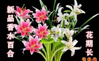如何应对因香水百合而引来的虫子（防止虫子滋扰的实用方法）