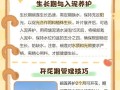 以碗莲的土如何处理？（有效利用以碗莲的土的方法和技巧）
