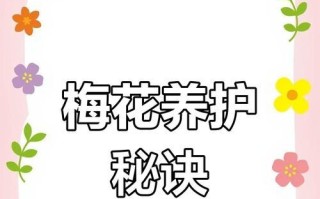 梅花开花时的科学浇水方法（梅花浇水的时间、频率和注意事项）