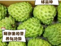红释迦果（解读红释迦果的成熟特征和鉴别方法）
