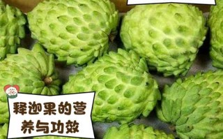 红释迦果（解读红释迦果的成熟特征和鉴别方法）