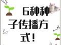 如何分辨种子是否能够成功发芽生长（鉴别种子发芽能力的方法及关键因素）
