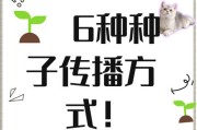 如何分辨种子是否能够成功发芽生长（鉴别种子发芽能力的方法及关键因素）