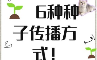 如何分辨种子是否能够成功发芽生长（鉴别种子发芽能力的方法及关键因素）