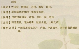 虎杖种植指南（如何选择适合的时间和环境种植虎杖？）