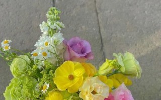 送人花的艺术——接人送什么花合适？（以人为本，选花为情）