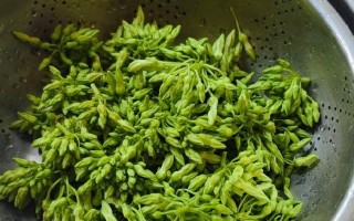 以夜香花怎么烧为主题的文章（探索夜香花的独特烧法和效果）