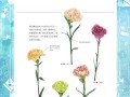 康乃馨究竟是两性花吗？（探秘康乃馨的性别特征与传说）