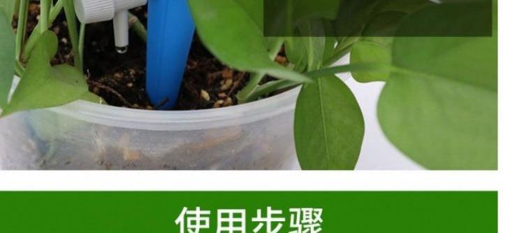 快速生根粉浇花使用方法详解（科学浇水，让花草根系更稳固）-第1张图片-绿意生活