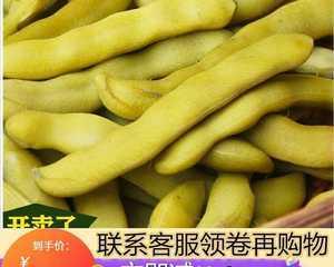 龙爪豆种植指南（适宜种植时间、栽培要点、防治病虫害）-第1张图片-绿意生活