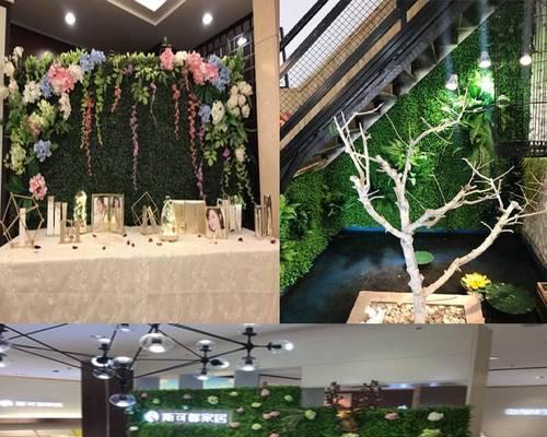 美容店门口的植物主题设计（以清新、美丽为主题，为美容店增添绿色气息）-第1张图片-绿意生活