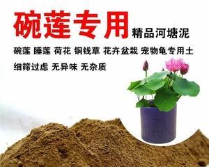 荷塘泥是否适合种花？——探究荷塘泥的肥力与适用性（了解荷塘泥的成分和性质）-第3张图片-绿意生活