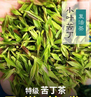 苦丁茶有哪些功效？从植物分类到功效，全方位了解苦丁茶-第3张图片-绿意生活