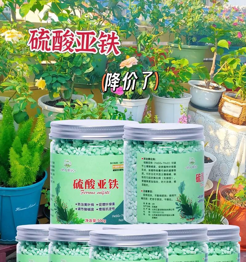 发财树能否浇硫酸亚铁？（揭开发财树浇水秘密，提升植物养护水平）-第3张图片-绿意生活